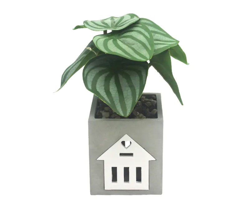 โคมไฟปูนซีเมนต์ LED เข้ากันได้กับระบบสมาร์ทโฮมสำหรับการควบคุมเสียงและระบบอัตโนมัติหรือไม่?